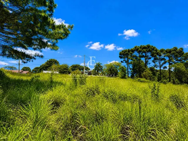 Imagem 8: Área à venda em Colombo, Colônia Faria, 9400m²
