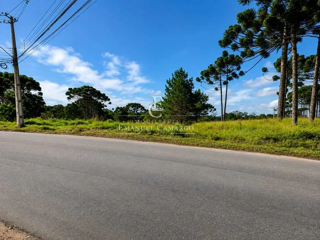 Imagem 6: Área à venda em Colombo, Colônia Faria, 9400m²