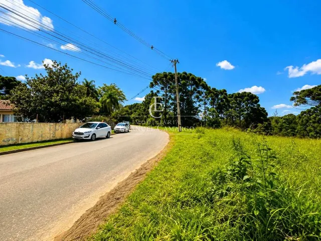 Imagem 9: Área à venda em Colombo, Colônia Faria, 9400m²