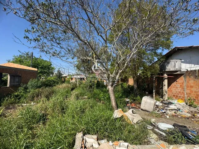 Imagem 5: Terreno à venda em Pinhais, Pineville, 760m²