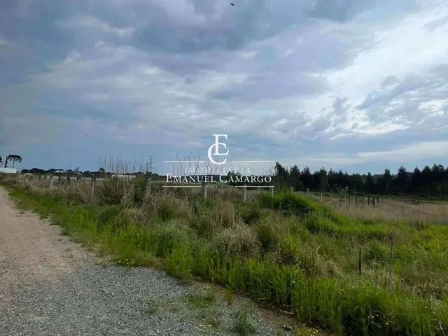 Imagem 9: Área à venda em Piraquara, Chácara Águas Claras, 1500m²