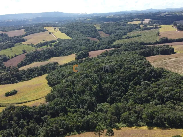Imagem: TERRENO PARA FORMAÇÃO DE CHÁCARA 10 MINUTOS