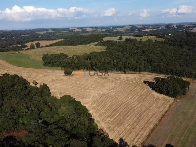 Imagem 2: TERRENO PARA FORMAÇÃO DE CHÁCARA 10 MINUTOS DO CENTRO