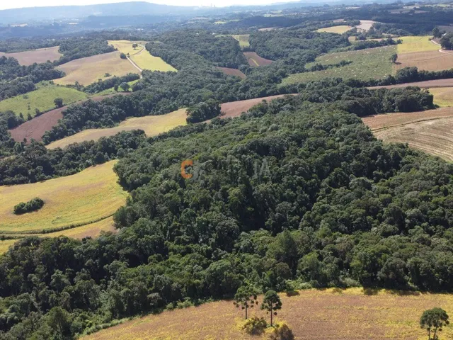 Imagem 3: TERRENO PARA FORMAÇÃO DE CHÁCARA 10 MINUTOS DO CENTRO