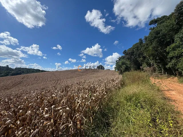Imagem 4: TERRENO PARA FORMAÇÃO DE CHÁCARA 10 MINUTOS DO CENTRO