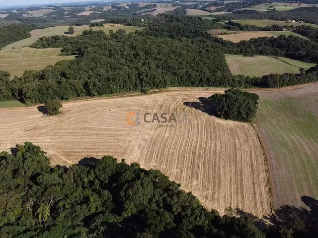 Imagem 5: TERRENO PARA FORMAÇÃO DE CHÁCARA 10 MINUTOS DO CENTRO