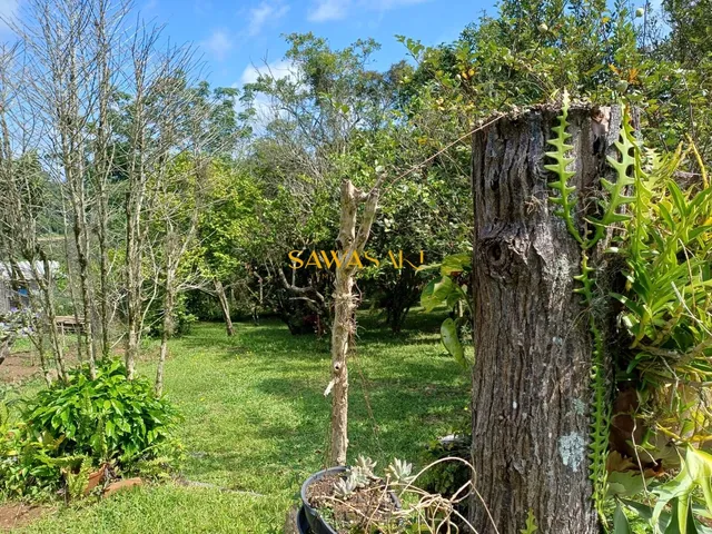 Imagem 15: Chácara À Venda no Bairro São Miguel - Curitiba/Pr