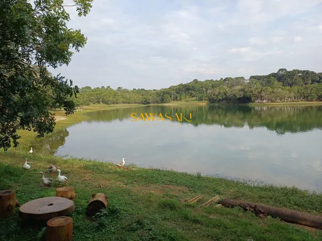 Imagem 4: Chácara À Venda no Bairro São Miguel - Curitiba/Pr