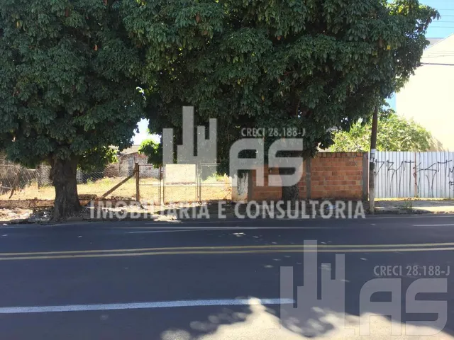 Imagem 3: .