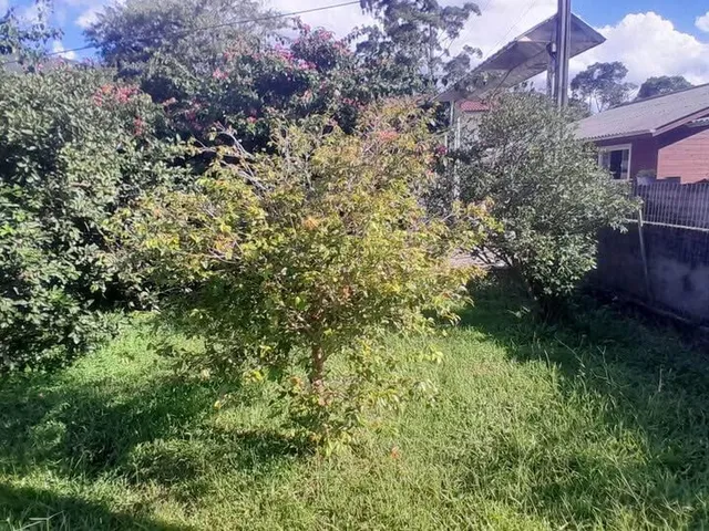 Imagem 15: Linda Casa com Terreno "Gigante" na Guarda do Cubatão em Palhoça/SC: NÃO ACEITA TROCA!