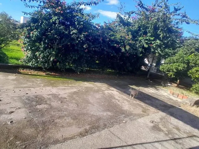 Imagem 13: Linda Casa com Terreno "Gigante" na Guarda do Cubatão em Palhoça/SC: NÃO ACEITA TROCA!