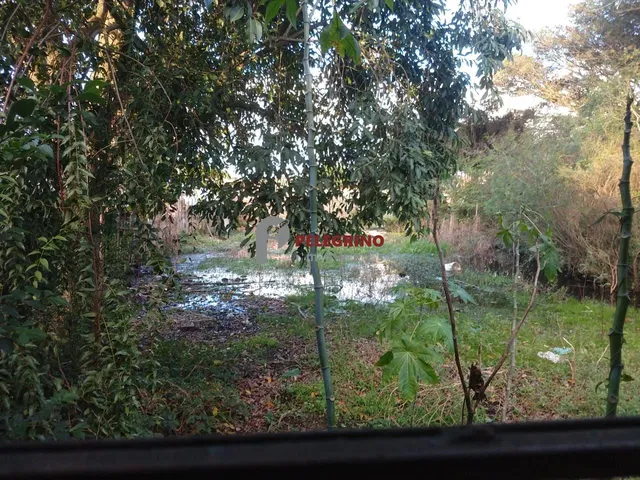 Imagem 3: Pelegrino Imóveis vende casa no centro de Tapes