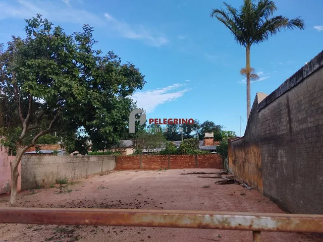Imagem 3: Pelegrino Imóveis Vende Terreno na Vila Maria