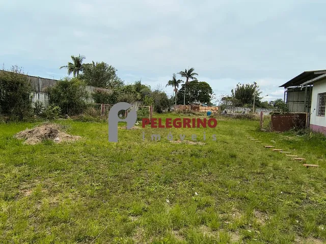 Imagem 3: Pelegrino Imóveis aluga terreno no centro de Tapes