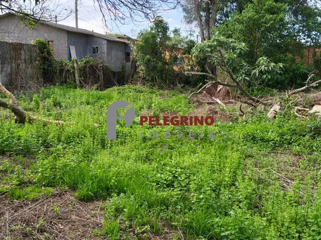 Imagem 7: PELEGRINO IMÓVEIS vende lote no Centro em Tapes