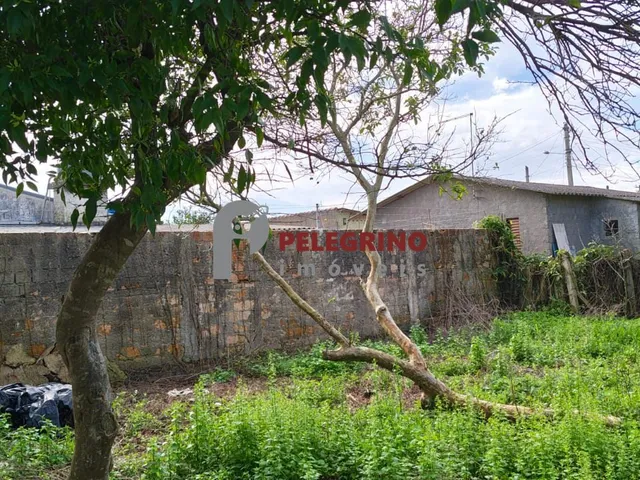 Imagem 6: PELEGRINO IMÓVEIS vende lote no Centro em Tapes