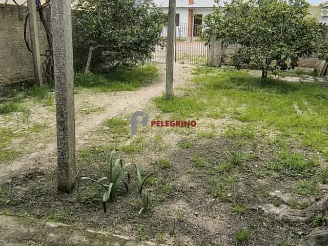 Imagem 5: Pelegrino Imóveis vende casa no centro de Tapes
