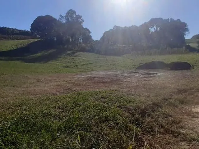 Imagem 4: LINDO SITIO 5 ALQUERES E MEIO, 133 MIL M², A 4 KM DA RODOVIA DO XISTO, MARIENTAL