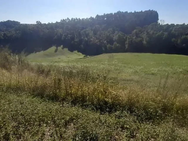Imagem 13: LINDO SITIO 5 ALQUERES E MEIO, 133 MIL M², A 4 KM DA RODOVIA DO XISTO, MARIENTAL