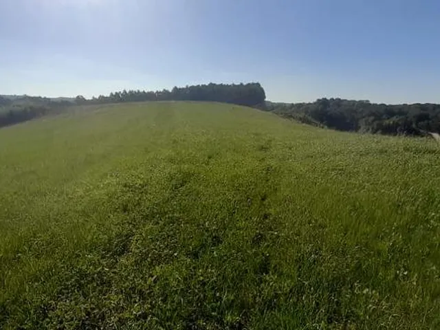Imagem 15: LINDO SITIO 5 ALQUERES E MEIO, 133 MIL M², A 4 KM DA RODOVIA DO XISTO, MARIENTAL