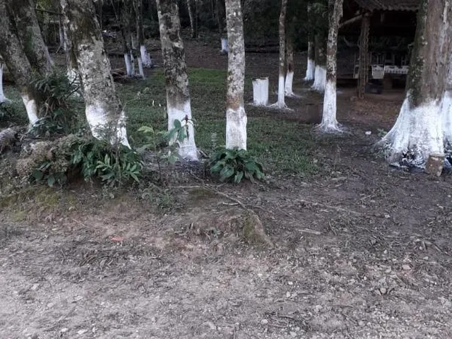 Imagem 8: LINDO SITIO 5 ALQUERES E MEIO, 133 MIL M², A 4 KM DA RODOVIA DO XISTO, MARIENTAL