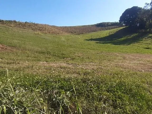 Imagem 6: LINDO SITIO 5 ALQUERES E MEIO, 133 MIL M², A 4 KM DA RODOVIA DO XISTO, MARIENTAL
