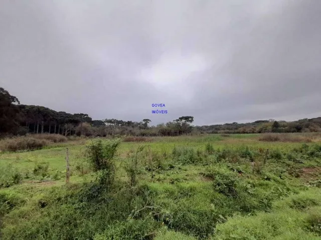Imagem: AREA DE 116.957M², A 26,00 POR M², RESIDENCIAL