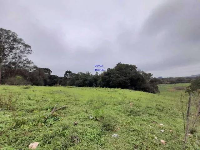 Imagem 13: AREA DE 116.957M², A 26,00 POR M², RESIDENCIAL, BAIRRO CAMPINA DA BARRA, ARAUCARIA