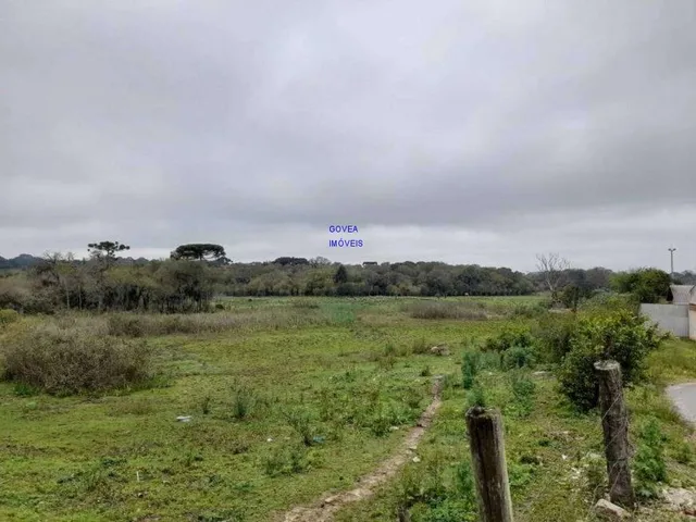 Imagem 4: AREA DE 116.957M², A 26,00 POR M², RESIDENCIAL, BAIRRO CAMPINA DA BARRA, ARAUCARIA