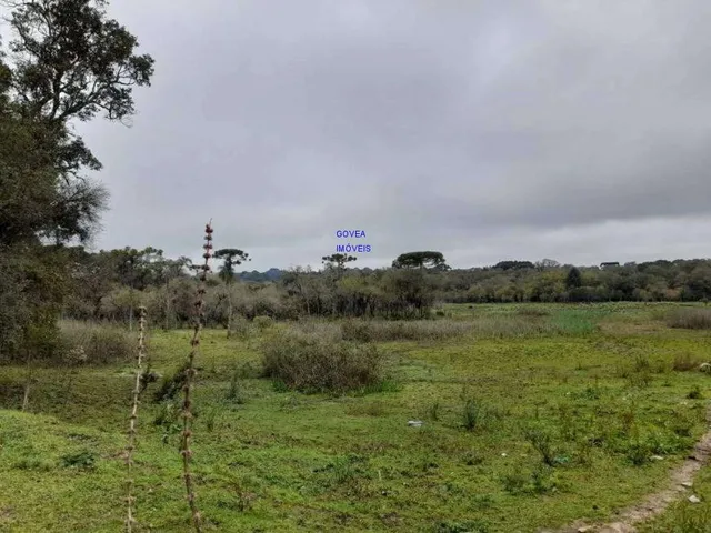 Imagem 3: AREA DE 116.957M², A 26,00 POR M², RESIDENCIAL, BAIRRO CAMPINA DA BARRA, ARAUCARIA