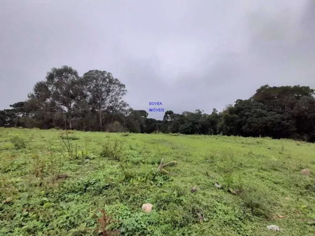Imagem 15: AREA DE 116.957M², A 26,00 POR M², RESIDENCIAL, BAIRRO CAMPINA DA BARRA, ARAUCARIA