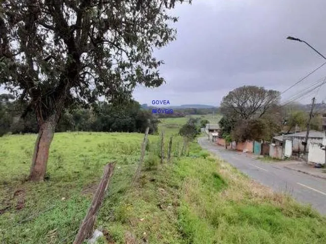 Imagem 14: AREA DE 116.957M², A 26,00 POR M², RESIDENCIAL, BAIRRO CAMPINA DA BARRA, ARAUCARIA