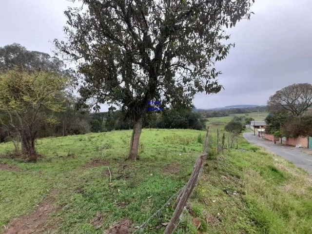 Imagem 2: AREA DE 116.957M², A 26,00 POR M², RESIDENCIAL, BAIRRO CAMPINA DA BARRA, ARAUCARIA