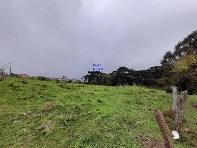 Imagem 7: AREA DE 116.957M², A 26,00 POR M², RESIDENCIAL, BAIRRO CAMPINA DA BARRA, ARAUCARIA