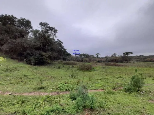 Imagem 11: AREA DE 116.957M², A 26,00 POR M², RESIDENCIAL, BAIRRO CAMPINA DA BARRA, ARAUCARIA