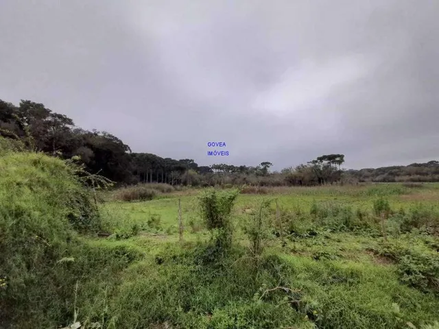 Imagem 9: AREA DE 116.957M², A 26,00 POR M², RESIDENCIAL, BAIRRO CAMPINA DA BARRA, ARAUCARIA