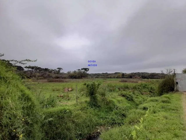 Imagem 12: AREA DE 116.957M², A 26,00 POR M², RESIDENCIAL, BAIRRO CAMPINA DA BARRA, ARAUCARIA