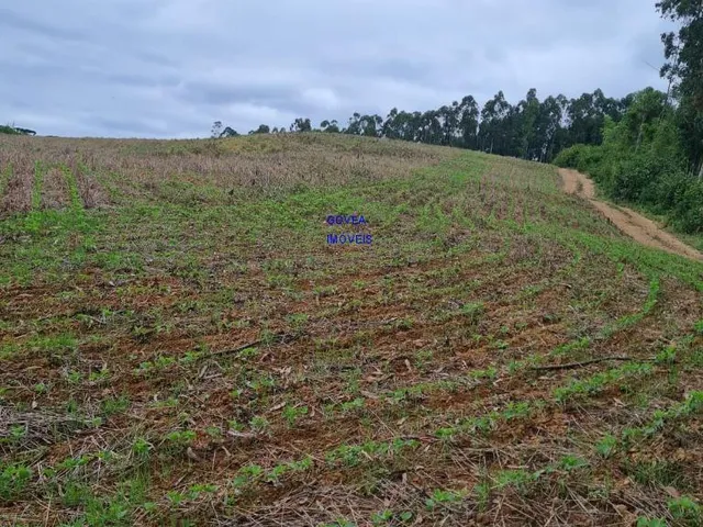 Imagem 6: Área total: 5 alqueires e 21 litros. Área de lavoura: 4 alqueires e 20 litros