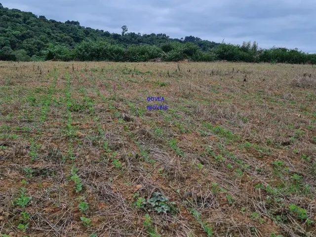 Imagem 5: Área total: 5 alqueires e 21 litros. Área de lavoura: 4 alqueires e 20 litros