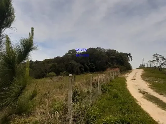 Imagem: Ótima chácara urbana sta felicidade 2