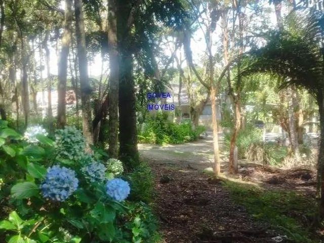 Imagem 5: TERRENO 4.700M² AREA URBANA- IDEAL PARA CONSTRUIR CHÁCARA PARA EVENTOS FRENTE PARA RUA