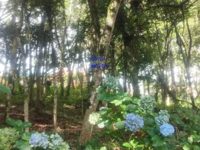 Imagem 4: TERRENO 4.700M² AREA URBANA- IDEAL PARA CONSTRUIR CHÁCARA PARA EVENTOS FRENTE PARA RUA