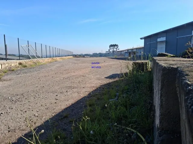 Imagem 6: BARRACÃO P LOCAÇÃO 1.314M² COM 3 DOCAS, ESCRITÓRIO, REFEITORIO, PÉ DIREITO 8MT, EM