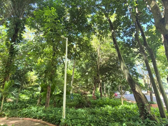 Imagem 7: Apartamento em Itaigara, Salvador/BA