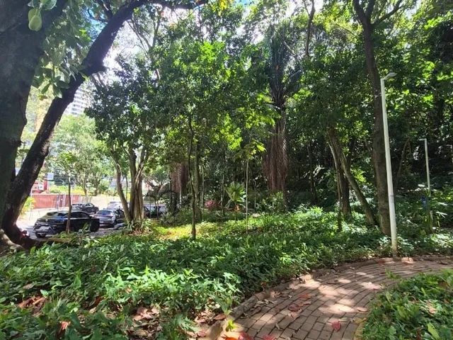 Imagem 4: Apartamento em Itaigara, Salvador/BA