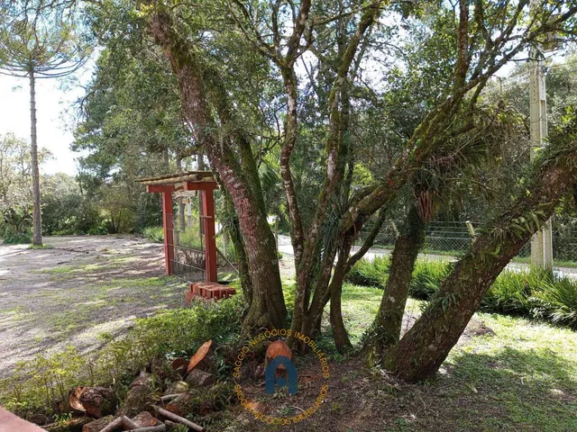 Imagem 6: Barracão à venda em São José dos Pinhais, Contenda, 380m²