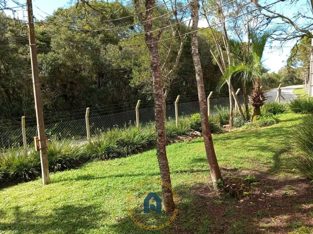 Imagem 7: Barracão à venda em São José dos Pinhais, Contenda, 380m²