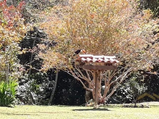 Imagem 7: 0 Fazenda / sítio com 3 dormitórios