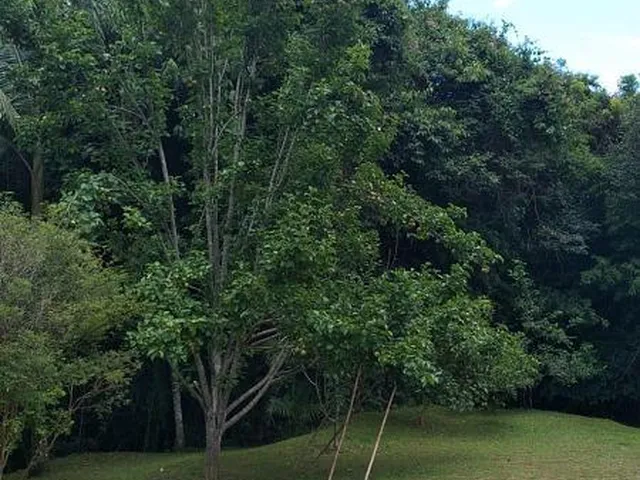 Imagem 14: 0 Fazenda / sítio com 3 dormitórios