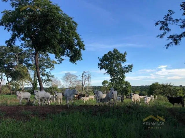 Imagem 15: Maravilhosa fazenda à venda! Se você procura um lugar incrível para viver em meio a
